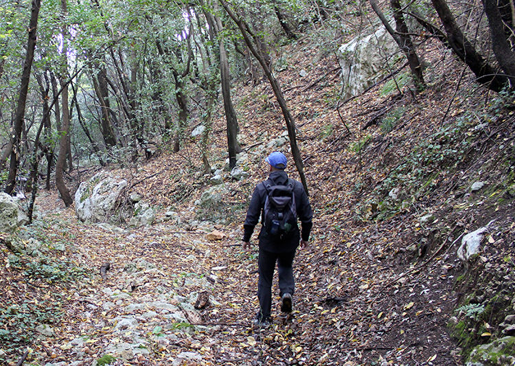 Monte Guarini e Carbonara