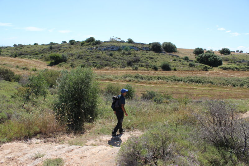 Parco delle Dune Costiere
